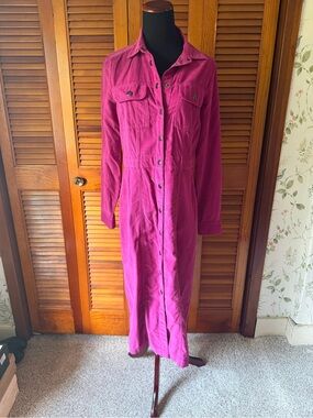 NWT LOFT pink corduroy button up dress Size 4